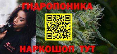 амф Новодвинск