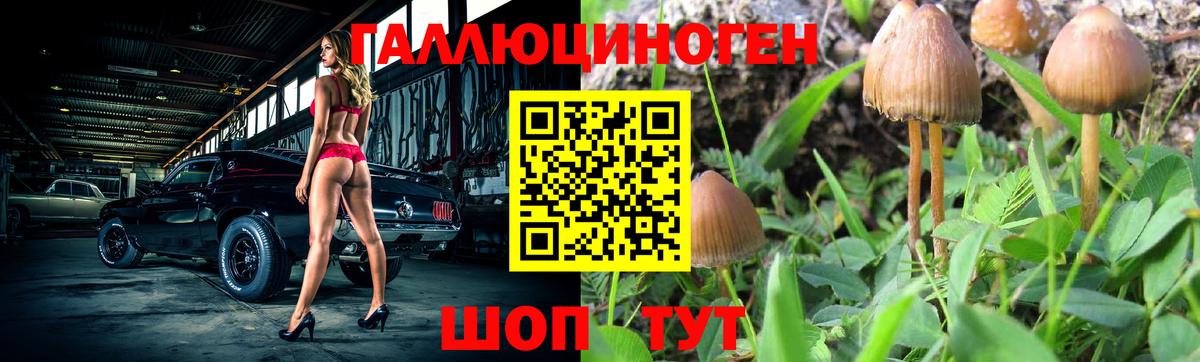 Псилоцибиновые грибы ЛСД Сатка